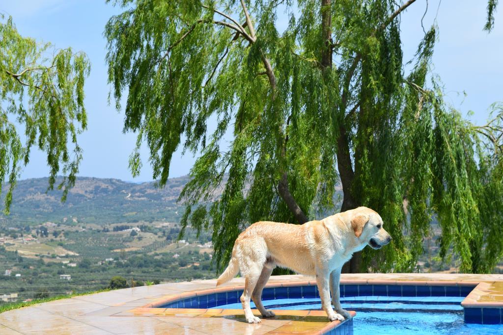 Aspalathos Villas Fílippos Dış mekan fotoğraf